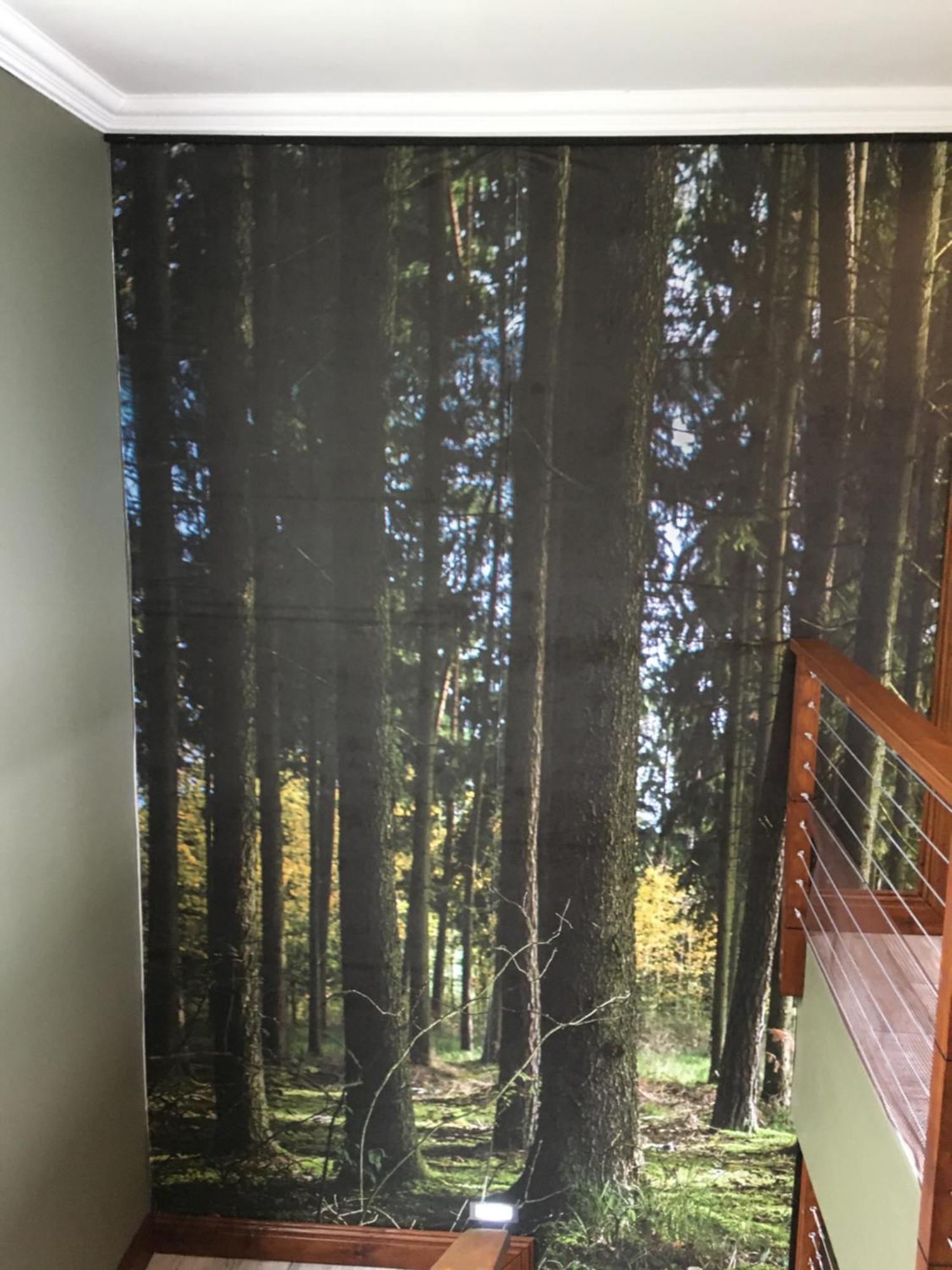 Forest Hill ワイルダーネス エクステリア 写真